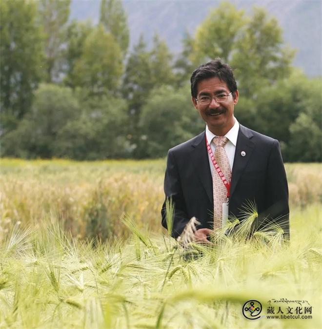 “青稞之父”尼玛扎西每一粒青稞都凝结着他的心血1.jpg