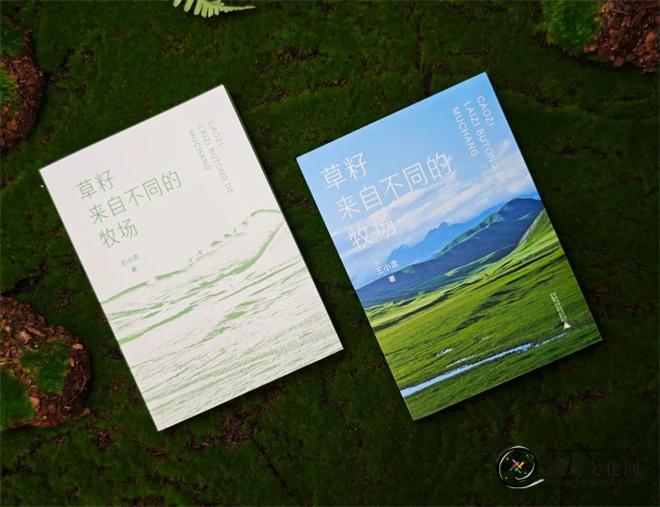 1745308500970447.jpg 《草籽来自不同的牧场》3.jpg