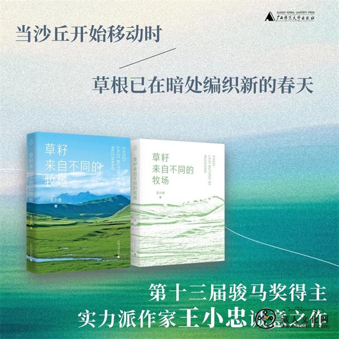 1745308476653354.jpg 《草籽来自不同的牧场》1.jpg