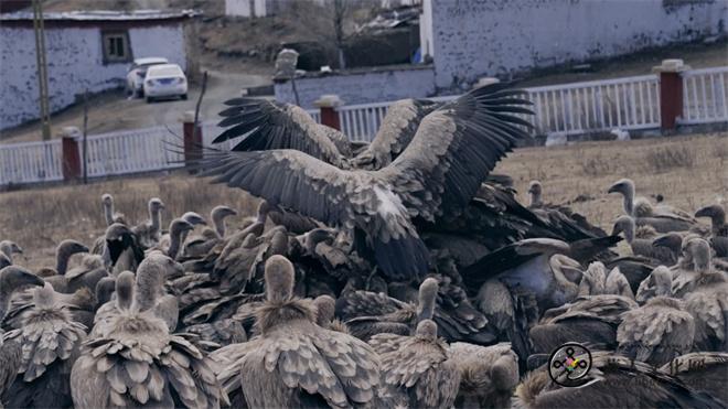 尼玛林寺天葬院 (2).jpg
