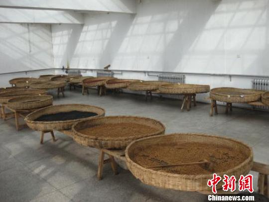 甘南藏族自治州发展藏药产业：自发研制多种方剂