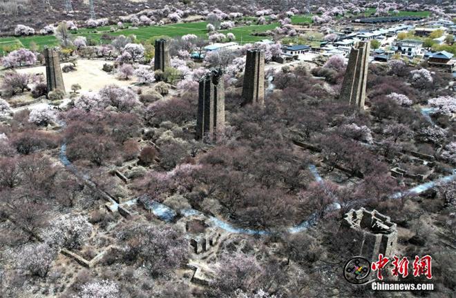 西藏林芝秀巴古堡群桃花绽放景色壮丽7.jpg