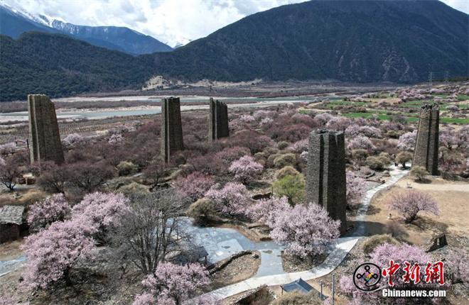 西藏林芝秀巴古堡群桃花绽放景色壮丽1.jpg