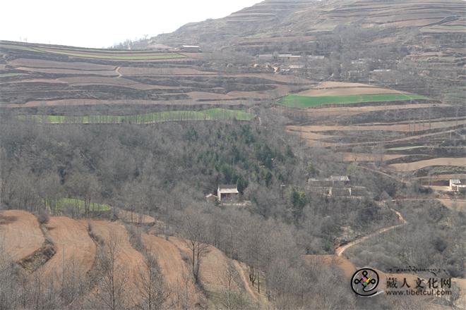 俯瞰鸟鼠山.JPG