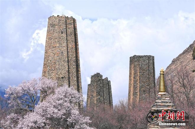 西藏林芝秀巴古堡群桃花绽放景色壮丽2.jpg